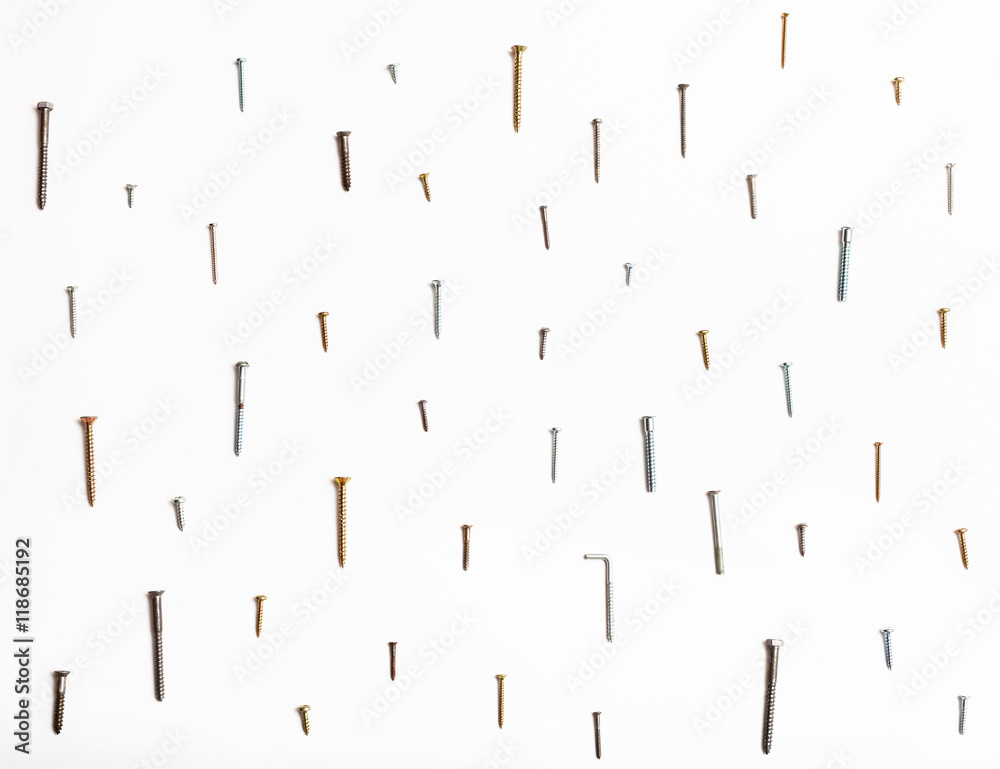 many wood screws arranged on white many wood screws arranged on white