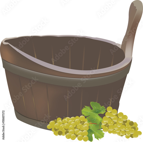 timo dell'uva vendemmia