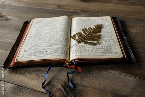 Bible and pressed fern leaf. Non TM Bible photo