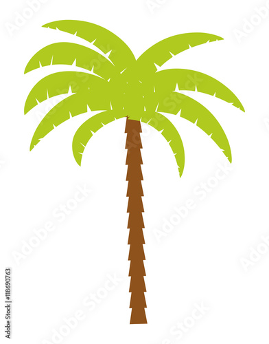 palm tree tropical nature summer beach plant icon. Colorful and isolated design. Vector illustration