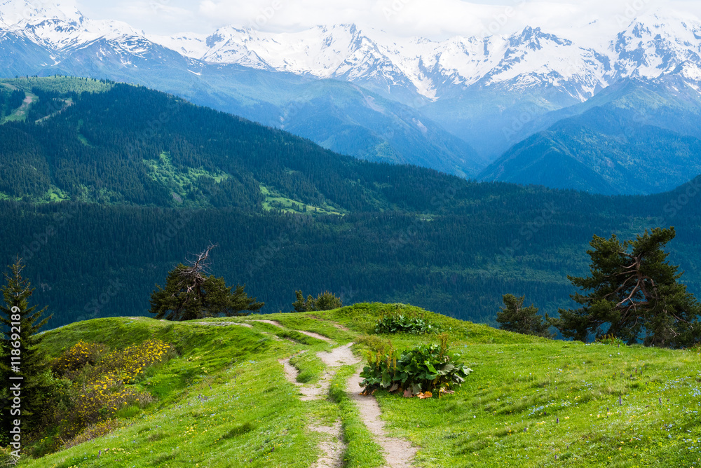 Trail in scenic mountains. A path goes on a slope overgrown with grass and small trees. Panorama of snowy and wooded mountains in the background. Trekking path in Svaneti, Georgia