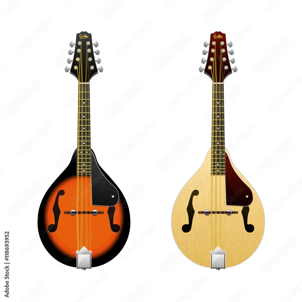 Realistic vector Mandolin / isolated on white mandolin / Folk music instrument / Mini-guitar