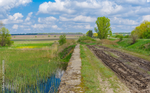 Spring landscape with old bridge over Kilchen river near Polyvanivka village, central Ukraine