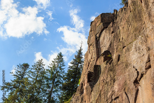 Felsen im Schwarzwald