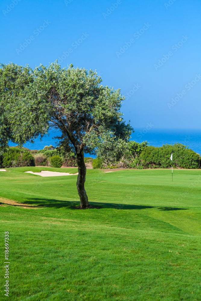 Fresh Green of Golf Field