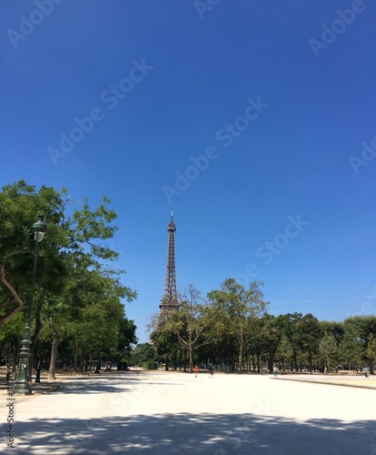 summer view of the eiffel tower in Paris, France