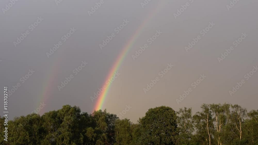 Left feet of double rainbow meteorological phenomenon that is caused by reflection refraction dispersion of light in water droplets resulting in spectrum of light an takes form of multicoloured arc 4k Left feet of double rainbow meteorological phenomenon that is caused by reflection refraction dispersion of light in water droplets resulting in spectrum of light an takes form of multicoloured arc 4k