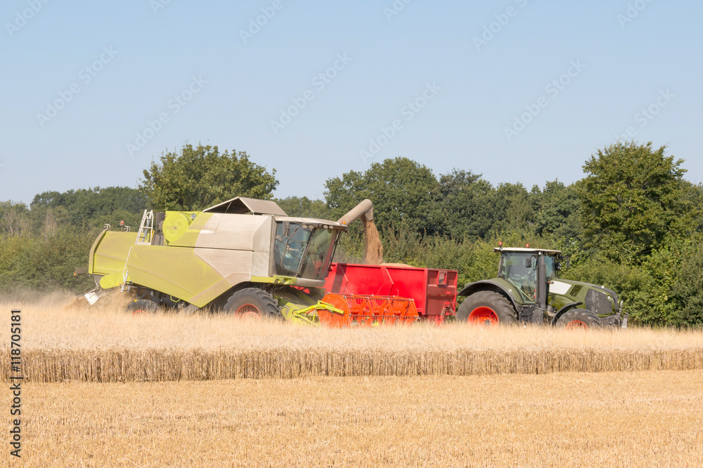 Obraz premium Combine harvestesting