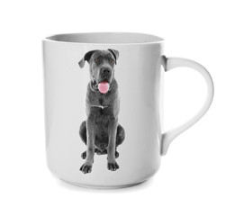 Coffee cup with photo of cute dog isolated on white