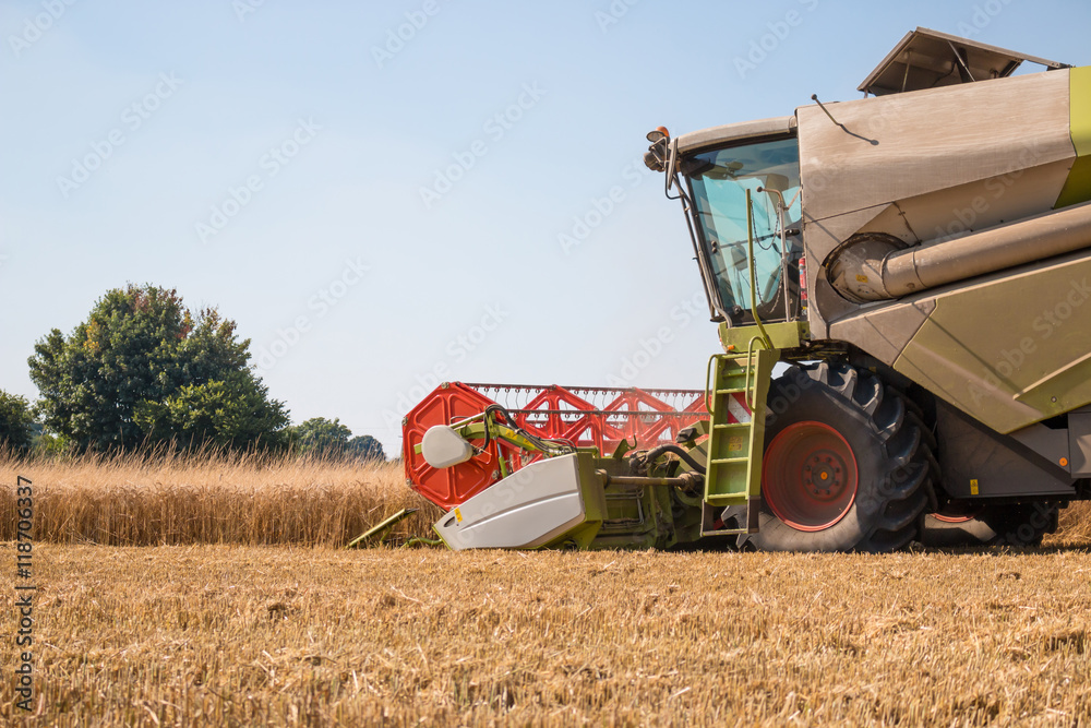 Obraz premium Combine harvestesting
