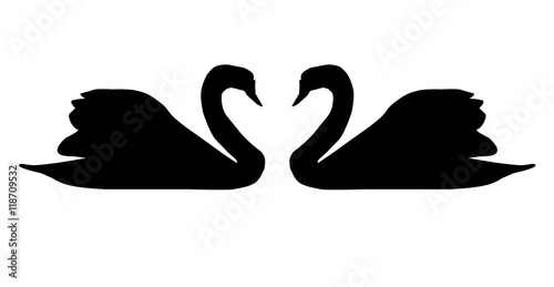 Swans Silhouettes