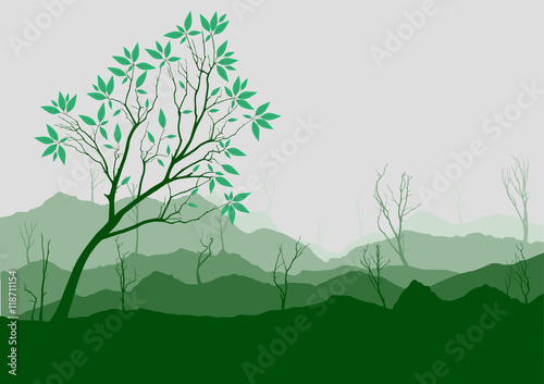 Silhouette of forest and mountain with gray background