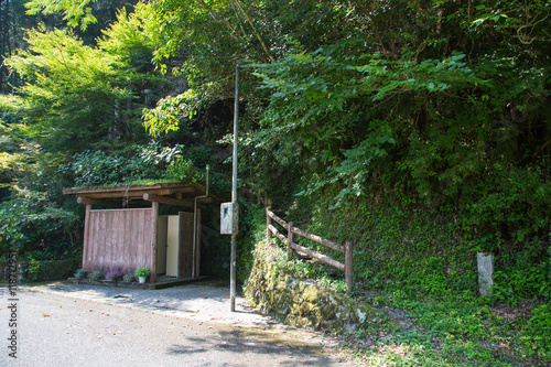 愛媛県内子町　紅葉ヶ滝　遊歩道 © setsuna