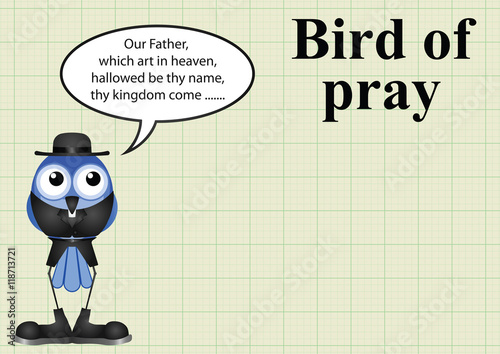 Comical bird of pray vicar