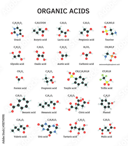 Organic acids molecules set photo