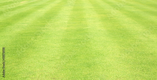 Football field green grass © scenery1