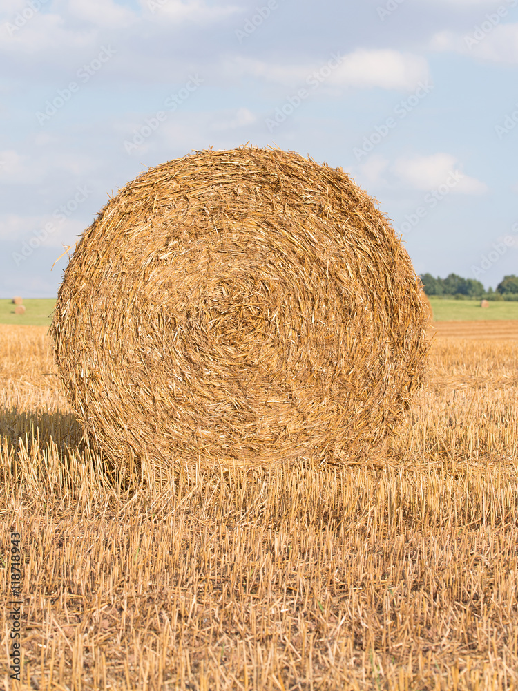 Strohrundballen, Strohrolle, Stoppelfeld