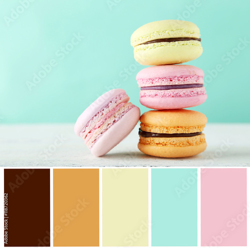 Fototapeta Naklejka Na Ścianę i Meble -  French macarons on white wooden background with color palette