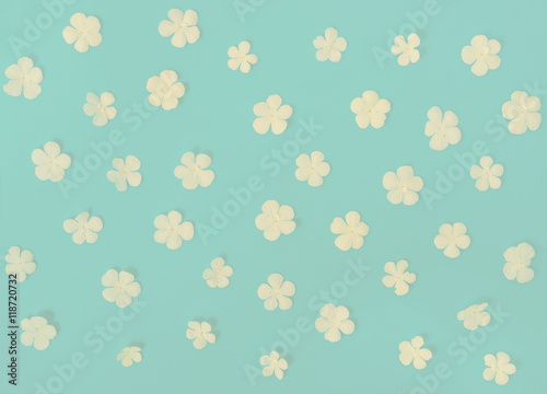 Fototapeta Naklejka Na Ścianę i Meble -  flat lay of beautiful trendy seamless pattern white flowers on b