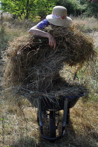 Femme défrichant un terrain