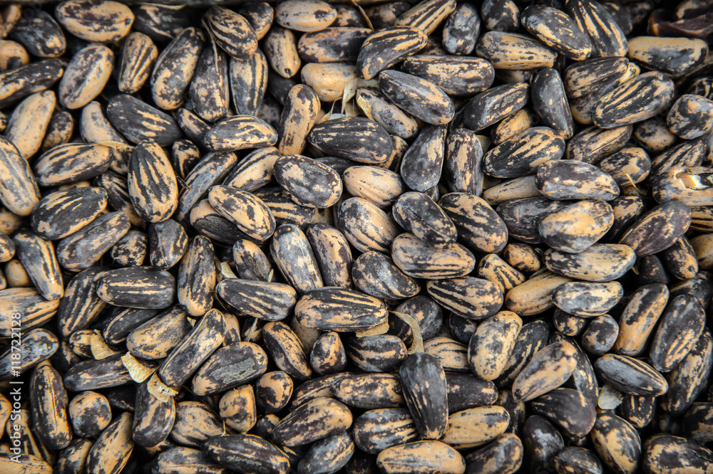 Background of the beans. Many Legumes beans lentils. The texture of the raw beans moon striped colors. Background of the beans. Many Legumes beans lentils. The texture of the raw beans moon striped colors.