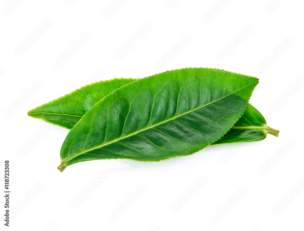 Fototapeta premium Green tea leaf isolated on white