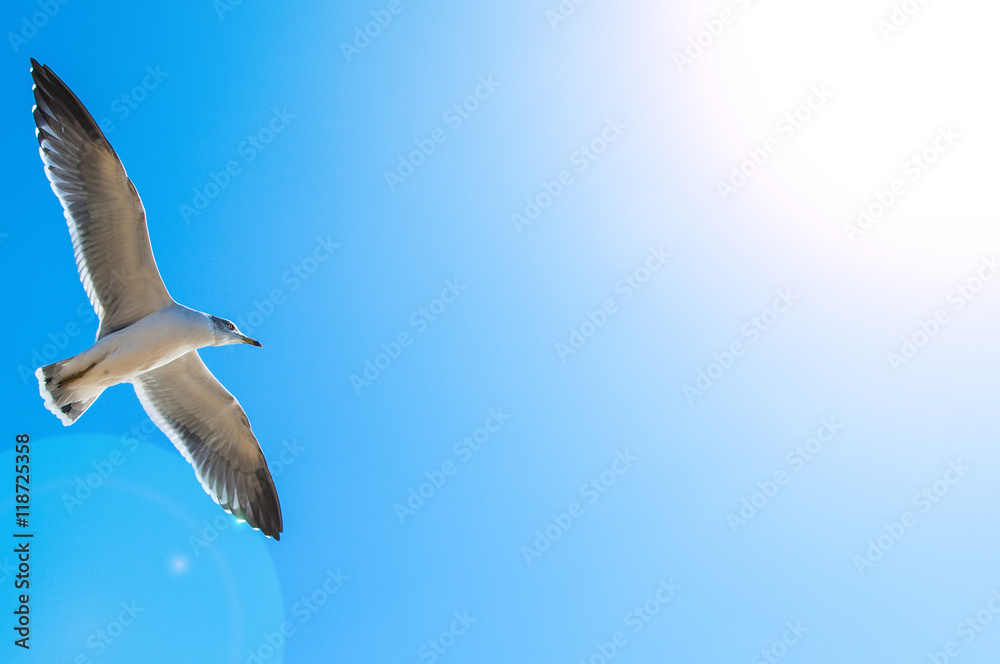 Obraz premium 수술