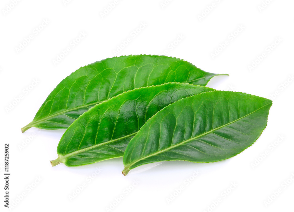 Obraz premium Green tea leaf isolated on white
