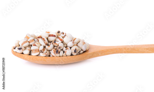 Millet grains, Organic in wooden spoon isolated on white