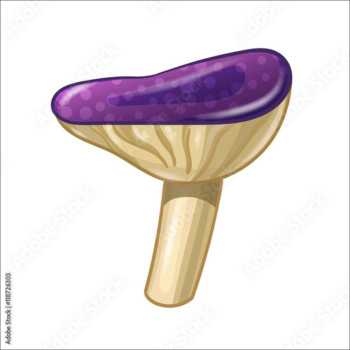 Cartoon coloured mushroom isolated on white background.