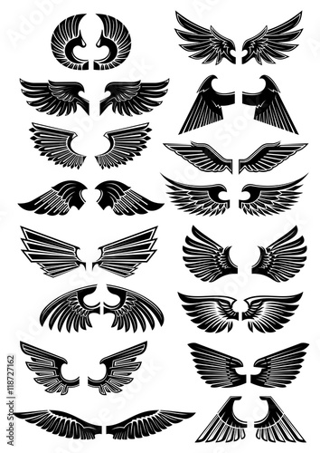 Wings heraldic icons symbols