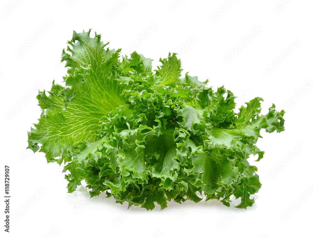 Obraz premium green frillies iceberg lettuce on white background