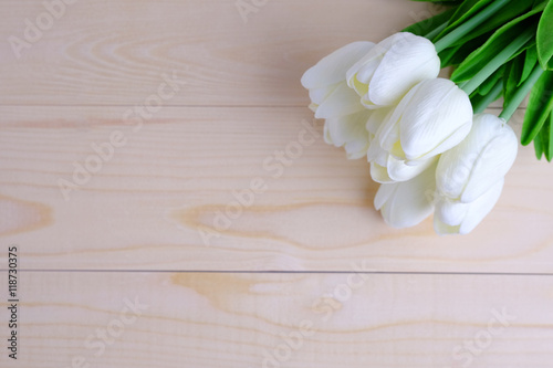 White tulips background.