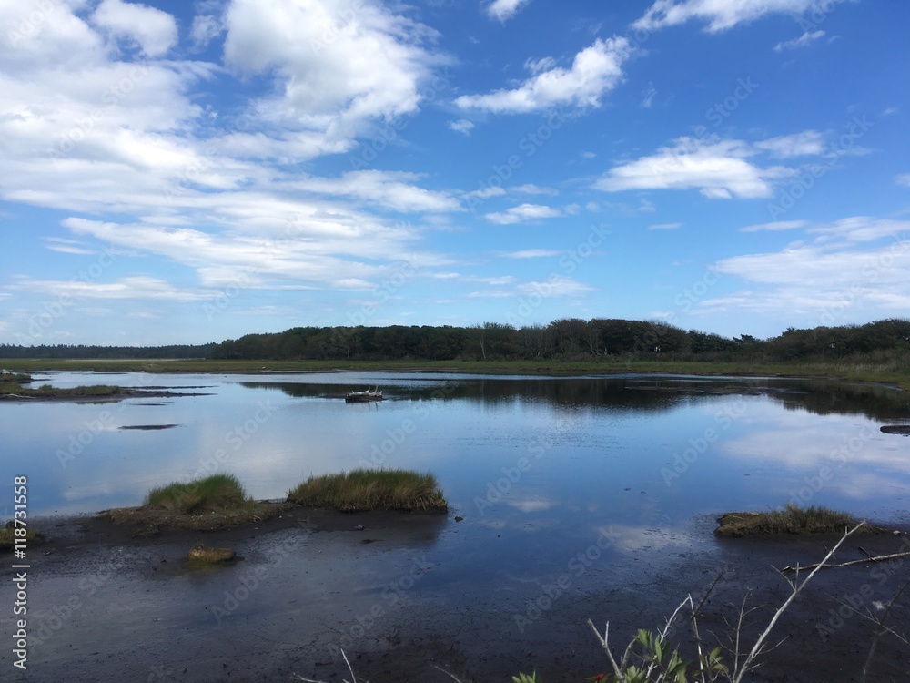marsh water in southern Maine's natural preserve
