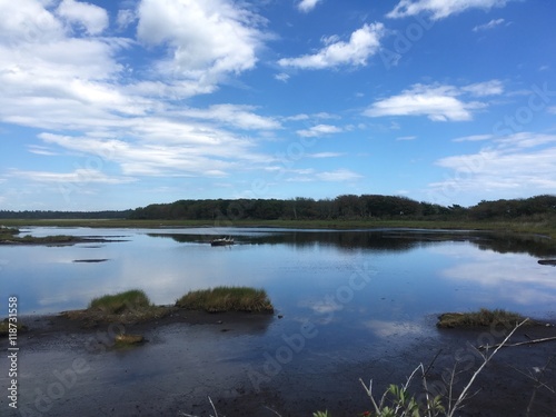 marsh water in southern Maine s natural preserve