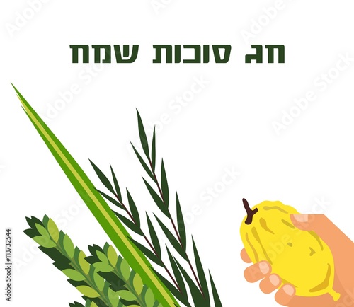 Jewish holiday Sukkot. torah with Lulav, ,Etrog, Arava and Hadas. Four species symbols date palm, citron, willow, myrtle.