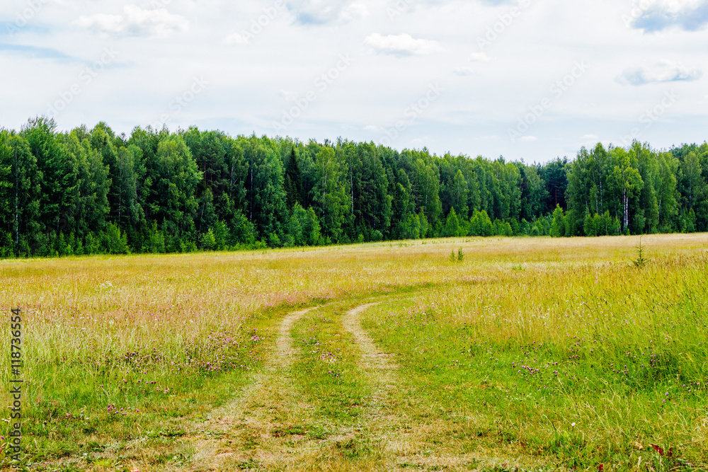 Fototapeta premium dirt road in the field