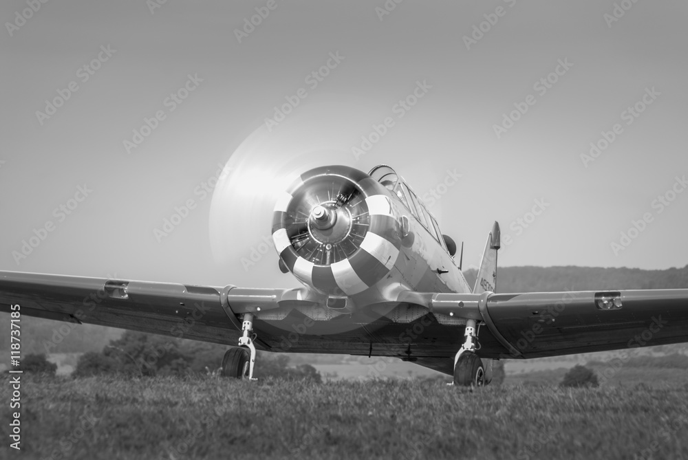 Fototapeta premium Warbird