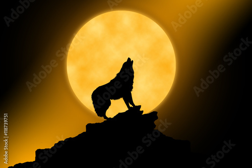 Fototapeta Naklejka Na Ścianę i Meble -  Wolf howling at the moon in the midnigt