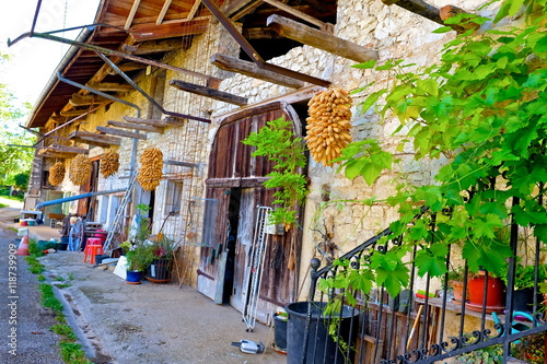 FERME REVERMONT 2 photo