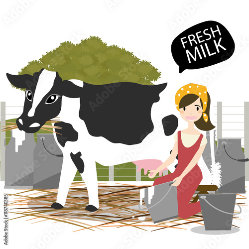 Milking of a cow.vector/Illustration