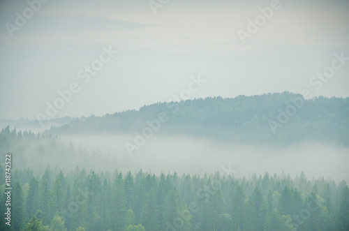 thick morning fog in the summer forest. © efimenkoalex