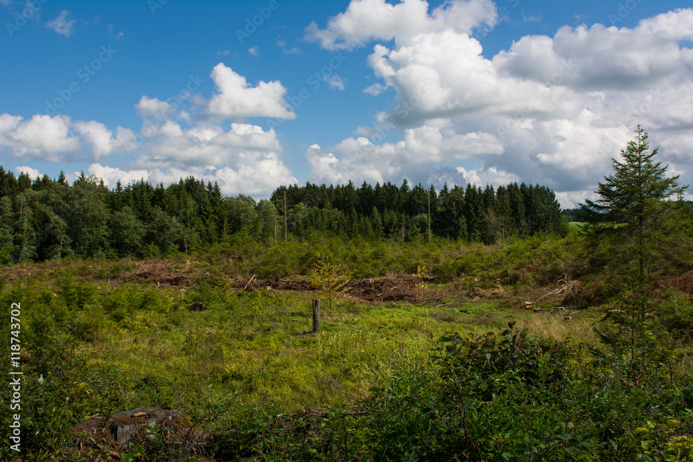 Erneuerbare Energieen - Nachhaltigkeit