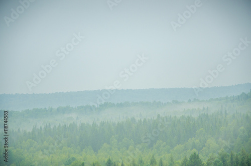 thick morning fog in the summer forest.