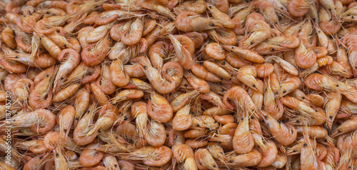 Fresh shrimp at at outdoor seafood market photo