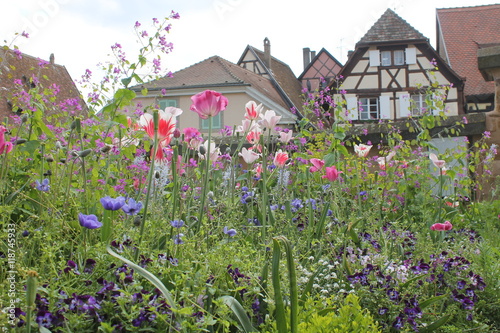 Garten der Burganlage in Equisheim photo