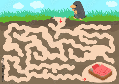 Vector maze game with find mole room in underground photo