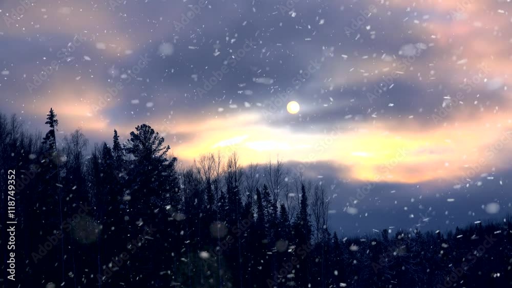 Snowfall in the winter forest with a full moon. Snowfall in the winter forest with a full moon.