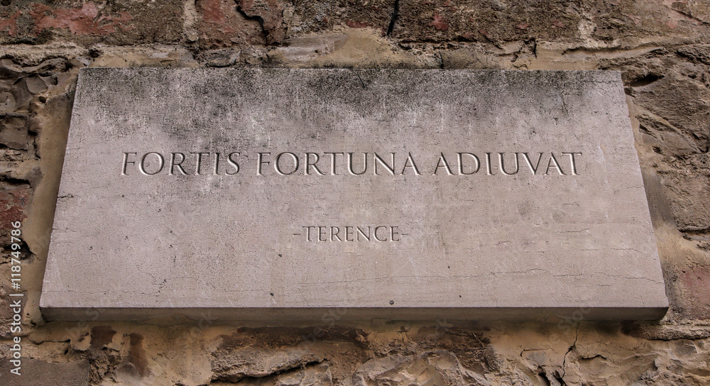fortis Fortuna adiuvat. Literally The strong ones, Fortune helps. From  Terence comedy play Phormio. Engraved text. Stock Photo