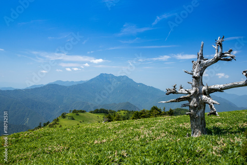 瓶ヶ森（かめがもり）から石鎚山方面を眺める